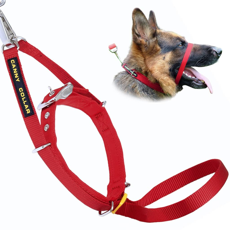Canny Collar - Pet Supplies