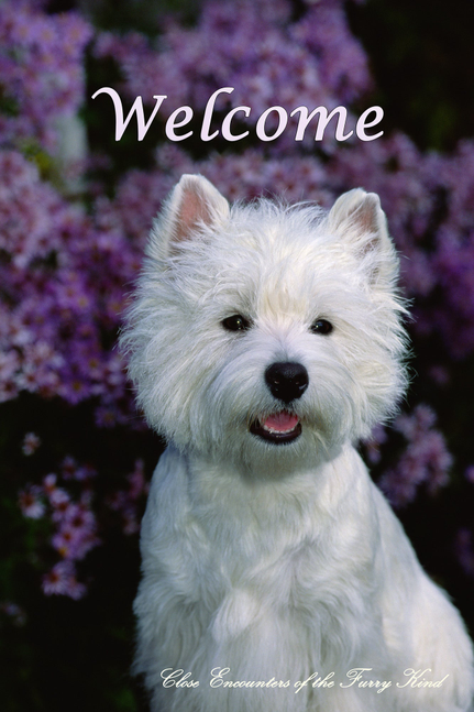 Westie welcome house flag with white dog and large 'Welcome' text