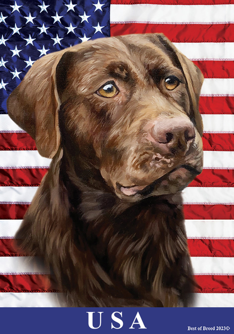 Outdoor flag featuring brown Labrador portrait with USA text