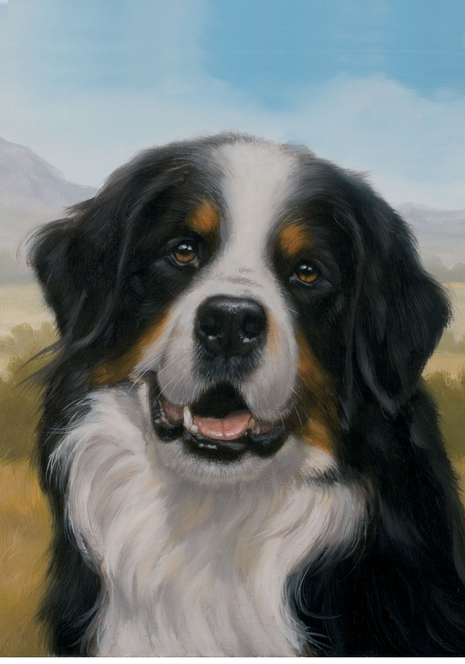 Border Collie - Best of Breed Dean Russo House and Garden Flag - House 28" x 40" - Outdoor's