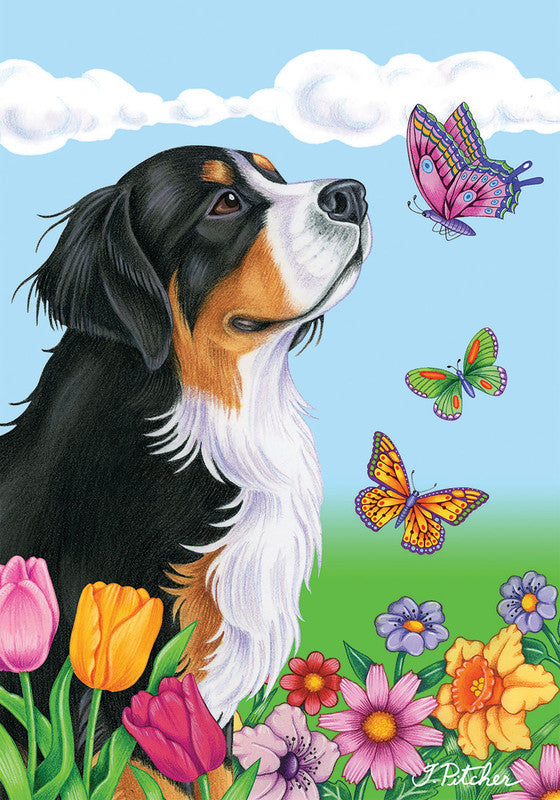 Border Collie - Best of Breed Dean Russo House and Garden Flag - House 28" x 40" - Outdoor's