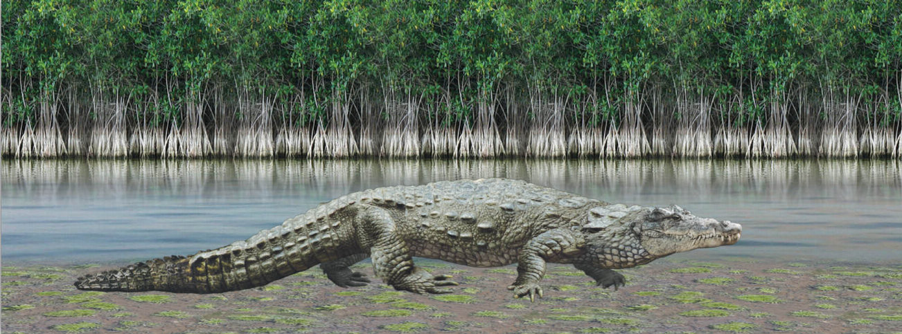 Crocodile motion art bookmark with attached 6 in ruler