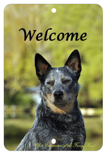 Australian Cattle Dog - Best of Breed Indoor/Outdoor Aluminum Sign - 1 / 8 x 12in - Outdoor's