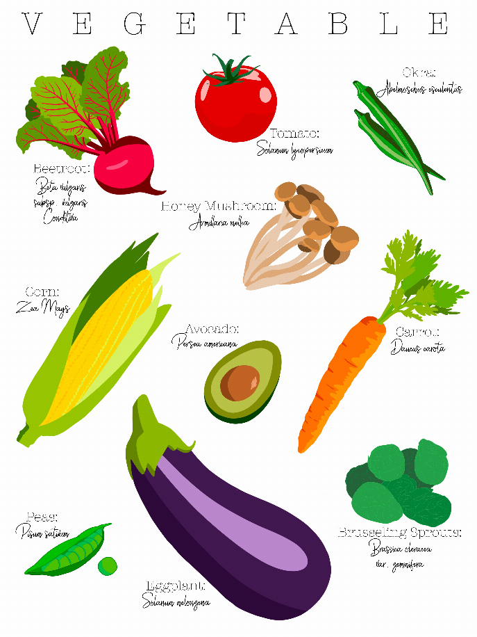 Vegetable poster showing illustrated vegetables like beet, tomato, corn, and eggplant