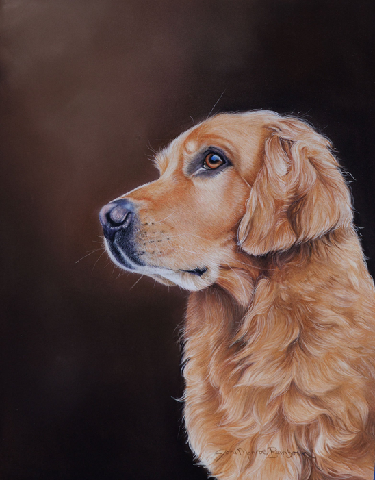 Golden retriever portrait house and garden flag with dog head illustration