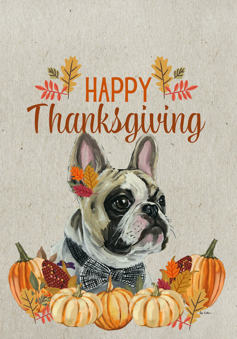 Thanksgiving house flag with cream French bulldog wearing bow and pumpkins, Happy Thanksgiving