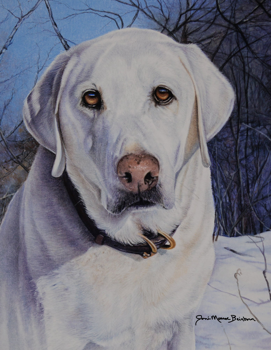 Labrador retriever portrait garden flag with light gray dog face and collar, signed