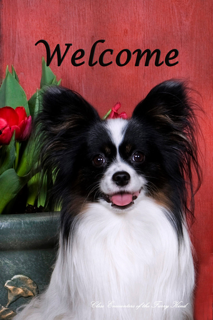 Garden welcome house flag with black-and-white dog face and floral accents