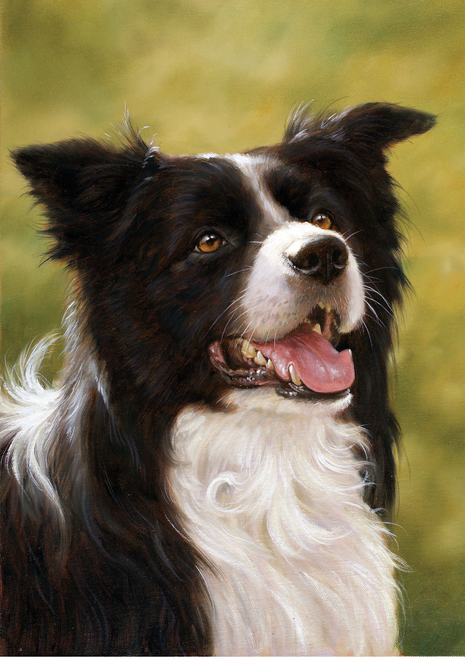 Outdoor portrait flag featuring a black and white Border Collie with tongue out