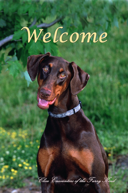 Doberman Uncropped - Close Encounters of the Furry Kind Welcome  House and Garden Flags - 1 / Garden 12" x 17" - Outdoor's
