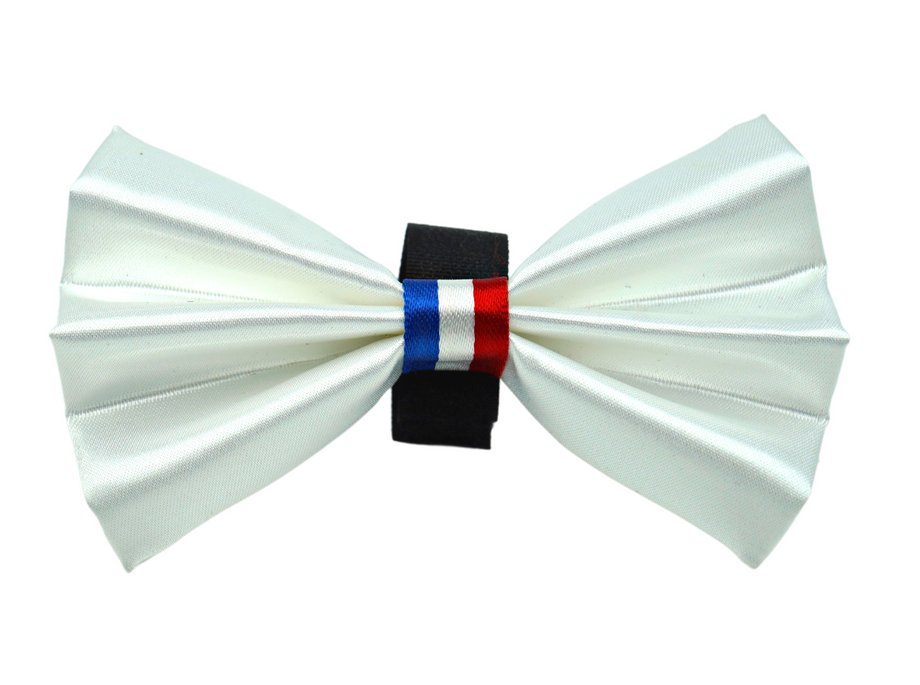 Pet ribbon bow with mint satin loops, black center band, blue-white-red stripe