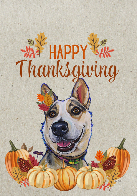 Thanksgiving house and garden flag with smiling Australian cattle dog and pumpkins