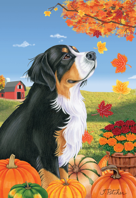 Outdoor flag with Bernese mountain dog portrait, autumn leaves and pumpkins