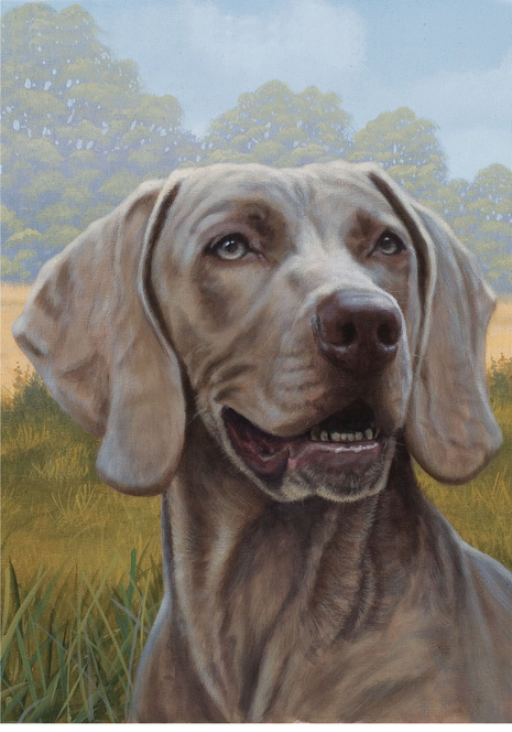 Weimaraner dog garden flag with close-up of light brown dog face