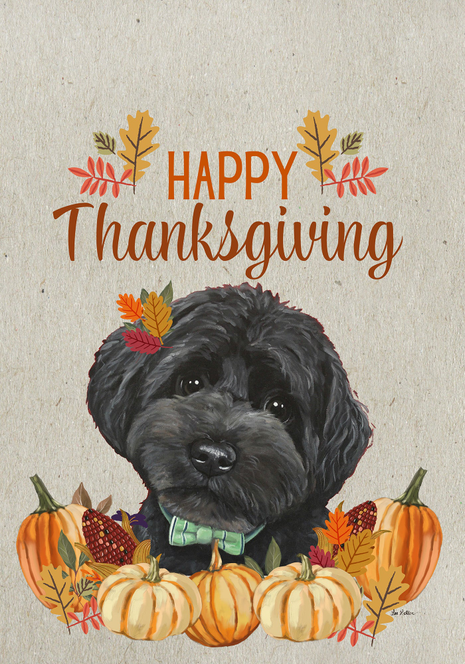 Thanksgiving house and garden flag with black-and-gray Yorkiepoo, pumpkins and “Happy Thanksgiving” text