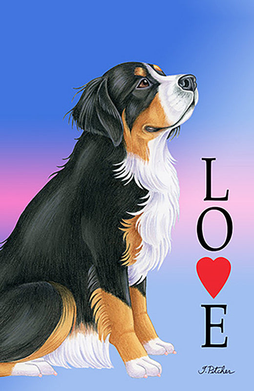 Border Collie - Best of Breed Dean Russo House and Garden Flag - House 28" x 40" - Outdoor's