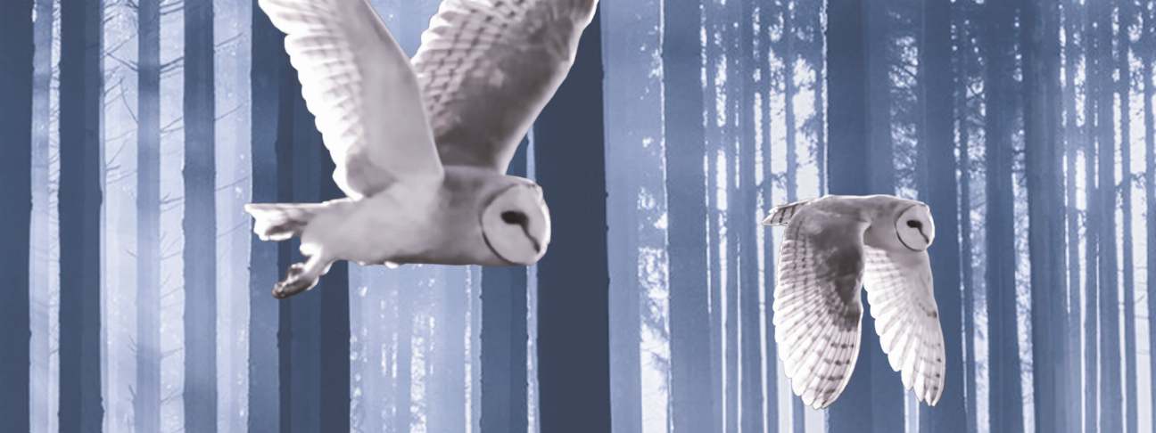Owl motion bookmark with raised wings, white and gray detail on ruler edge