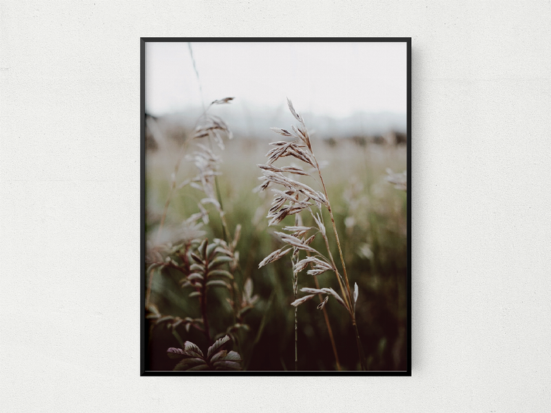 Framed field photo wall art with grasses in a blurred meadow, black frame