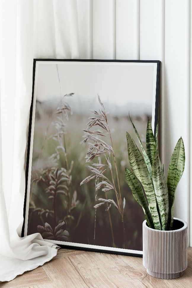 Framed field photo wall art with tall grasses in a misty field, black frame
