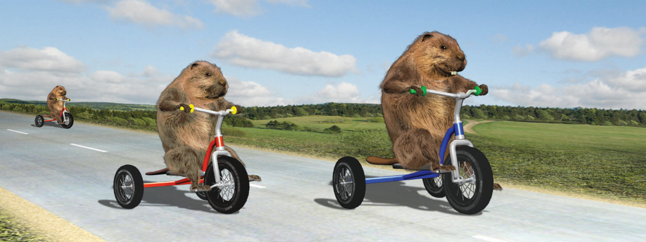 Beaver animal art motion bookmark featuring two beavers on small tricycles