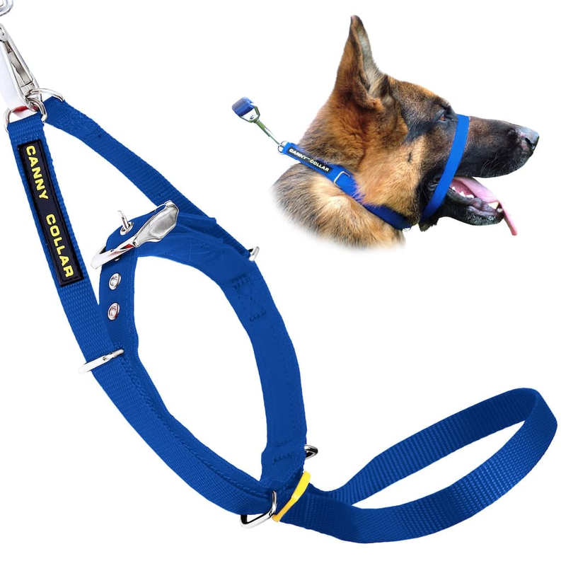 Canny Collar - Pet Supplies