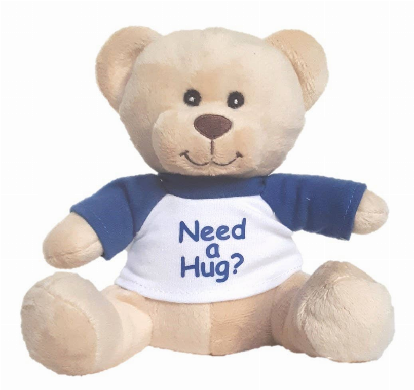 "Need a Hug" Small Super Cute Teddy Bear - Toys | 15-Days, Babies & Toys, CN