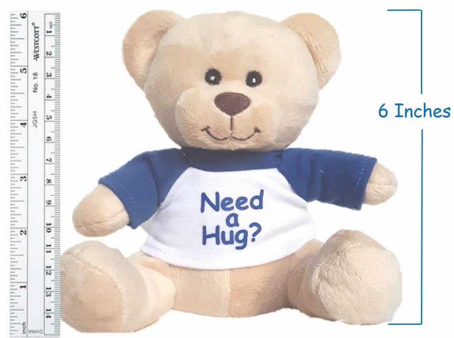 "Need a Hug" Small Super Cute Teddy Bear - Toys | 15-Days, Babies & Toys, CN