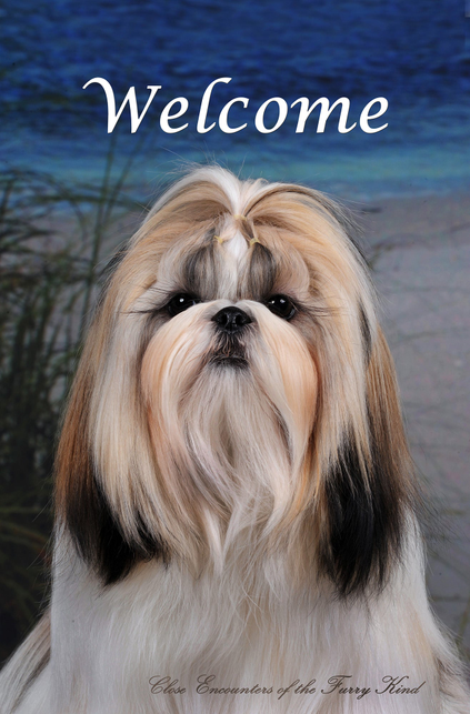 Shih Tzu welcome house flag with close-up dog face and 'Welcome' text