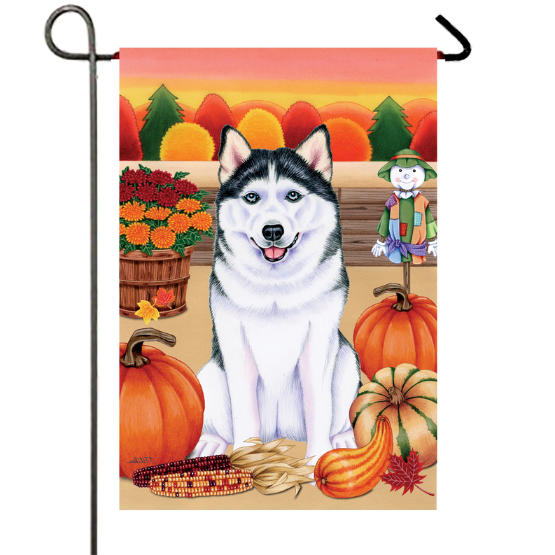 Black and white husky portrait garden flag with pumpkins and fall scenery