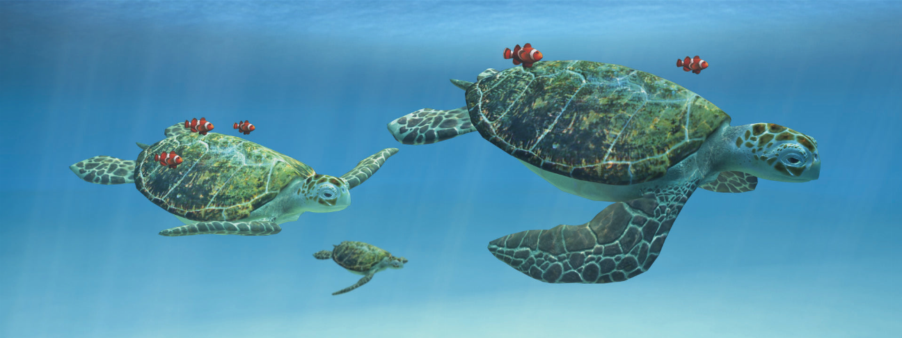 Sea turtle illustrated bookmark ruler with motion-style design