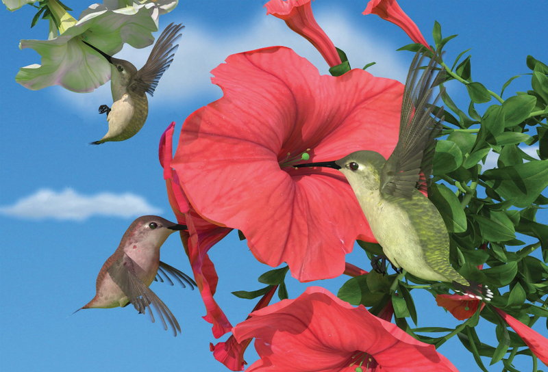 Hummingbird motion magnet featuring red hibiscus flowers and leafy branches artwork