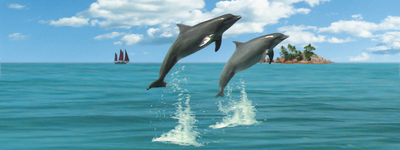 Dolphin-themed motion bookmark and 6-inch ruler