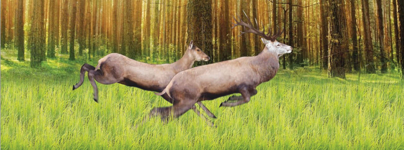 Animal art motion bookmark ruler with running deer illustration