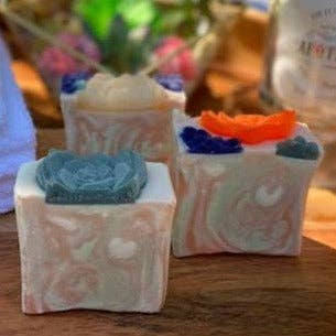 Close-up of square succulent soap boxes with teal, blue, orange, and white tops
