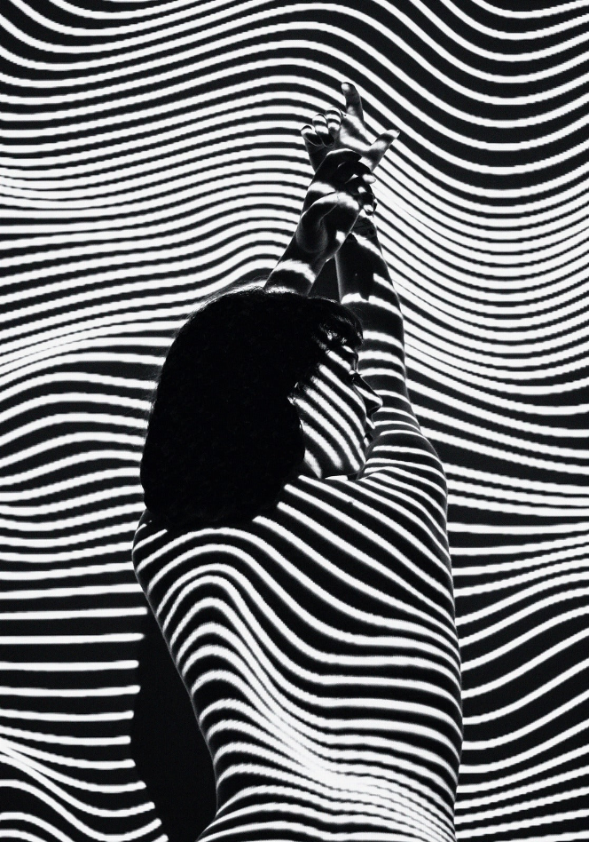 Erotica Zebra Pattern Glass Wall Art - 1 / 11.8" x 17.7" Inches - Home Decor