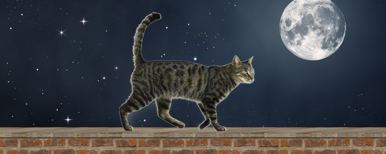 Cat walking animal art ruler bookmark, 6 in