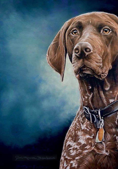 German shorthaired pointer portrait flag with brown-and-white dog and blue collar