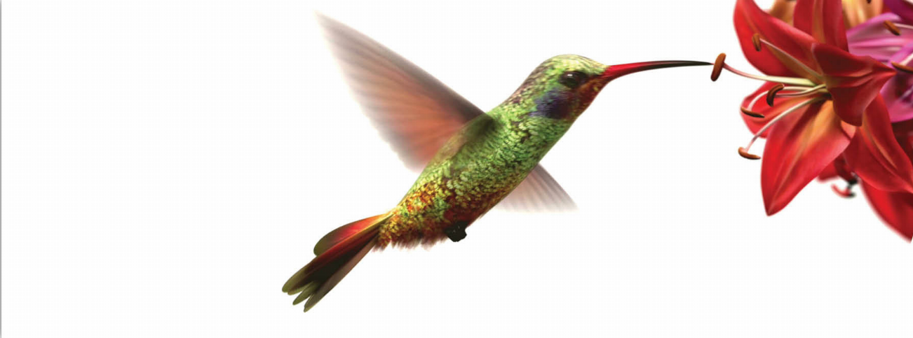 Hummingbird motion bookmark ruler with green hummingbird and red flower accents