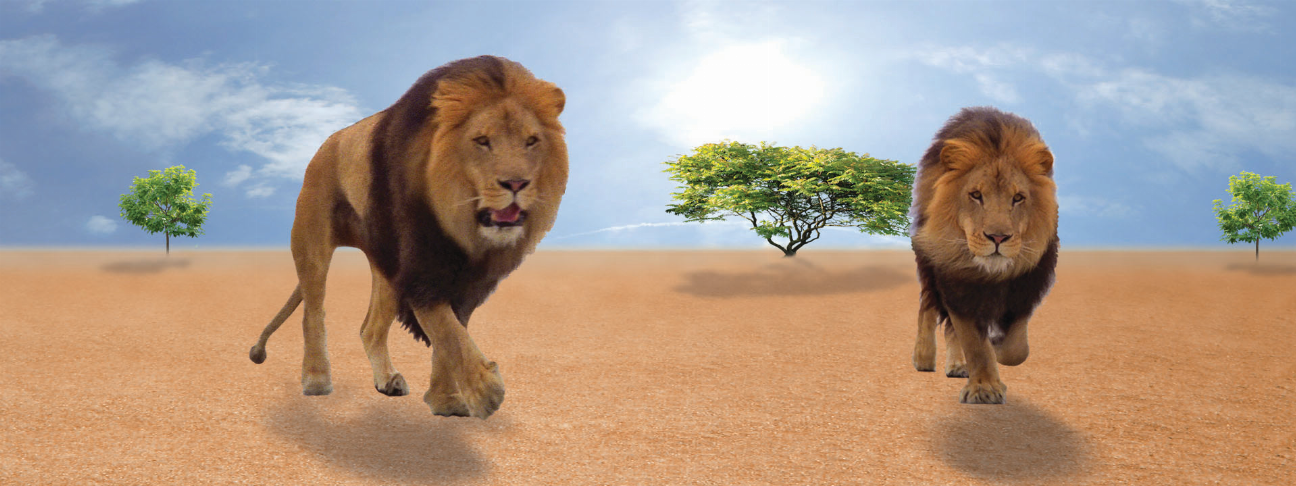 Lion artwork motion bookmark with 6-inch ruler, featuring two walking lions