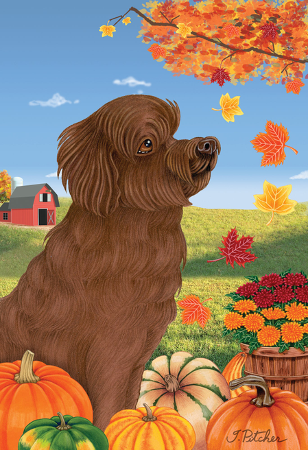 Autumn leaves outdoor flag with a chocolate-brown dog portrait and seasonal foliage