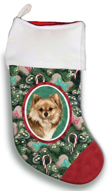 Chihuahua Longhaired Fawn - Best of Breed Christmas Stocking - Christmas Décor