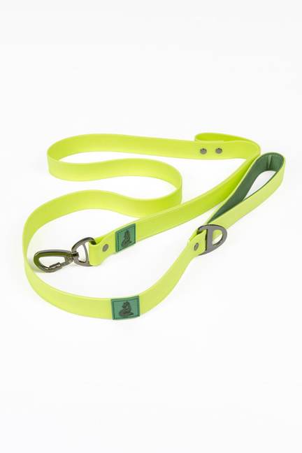 Green waterproof dog leash laid flat with metal clasp and loop handle