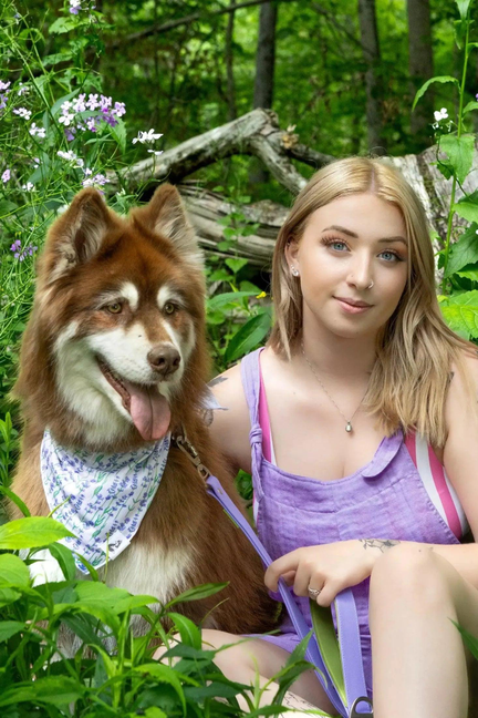Dog bandana on a dog: triangular white bib with lavender purple and green print