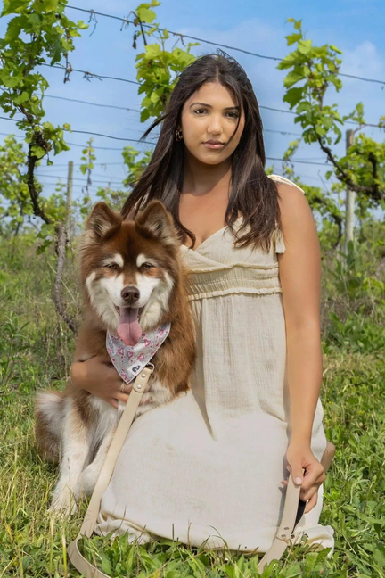 Champagne Fizz Vegan Leather Dog Leash - Pet Supplies