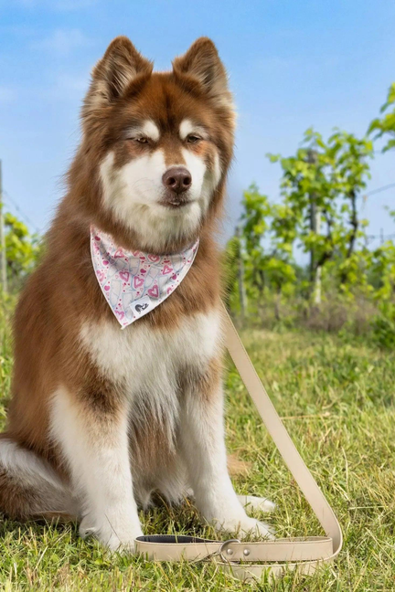 Champagne Fizz Vegan Leather Dog Leash - Pet Supplies