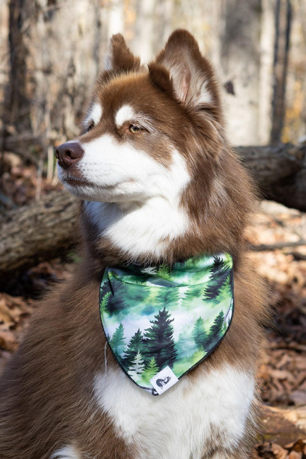 Evergreen Explorer Dog Bandana - 1 / XL - 35in x 17in - Pet Supplies