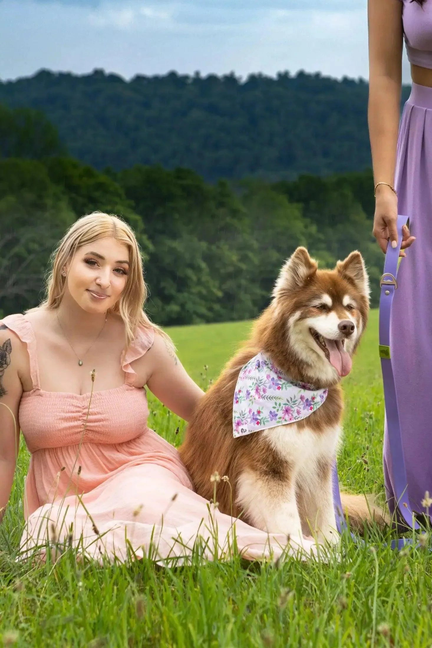 Floral dog bandana on a sitting brown-and-white dog wearing the bandana