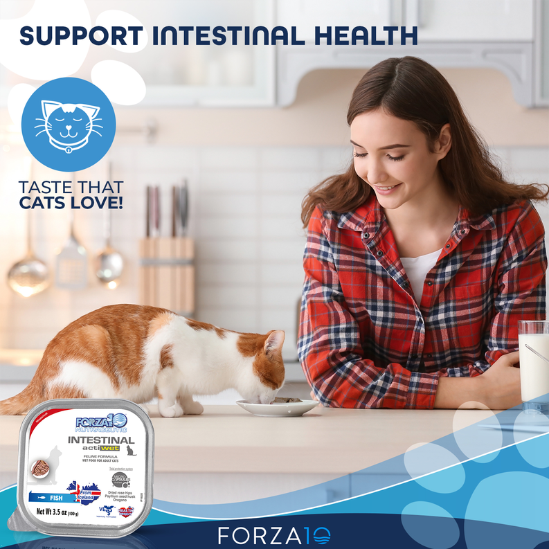 Cat food tray with a woman and brown-and-white cat; support intestinal health.
