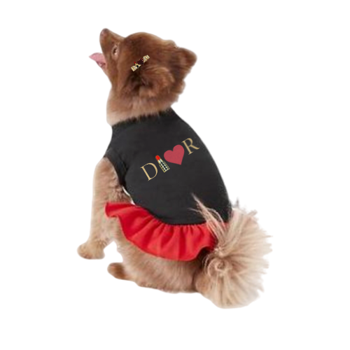 Brown dog wearing black T-shirt, red skirt, and gold heart hair clip at ear