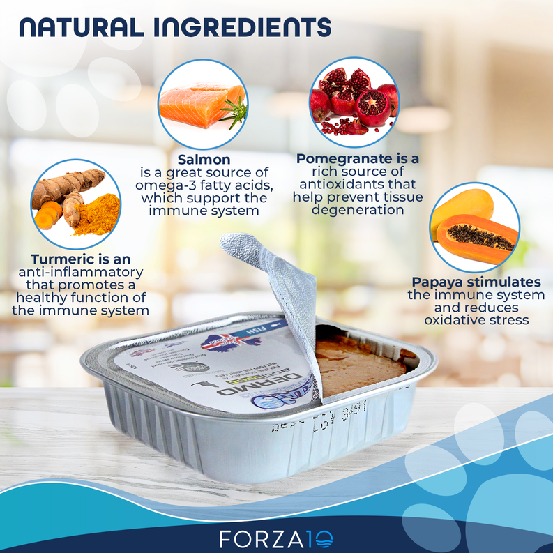Forza10 ActiWet Dermo canned cat food in foil tray, fish recipe, net 3.5 oz